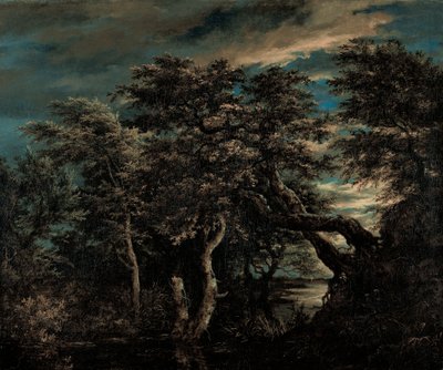 A Marsh in a Forest at Dusk by Jacob van Ruisdael